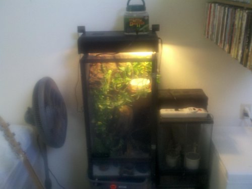 2011-06-14_15-16-52_769.jpg