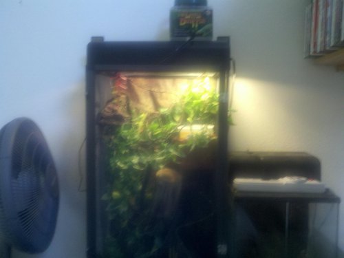 2011-06-14_15-17-29_418.jpg