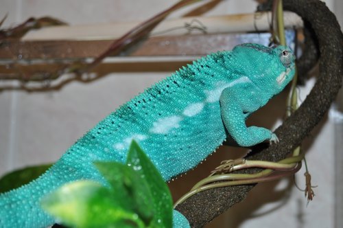 DSC_0514.JPG