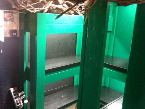 reptile room 2.jpg