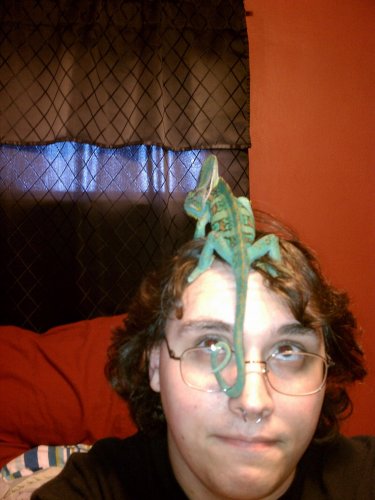 IMAG0226.jpg