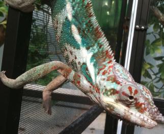 Screen shot 2011-06-16 at 4.25.51 PM.jpg