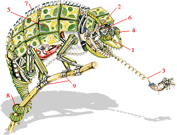 chameleon robot.gif