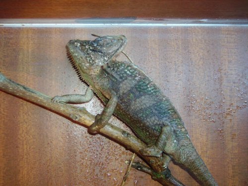 I've even got moss all over me.jpg