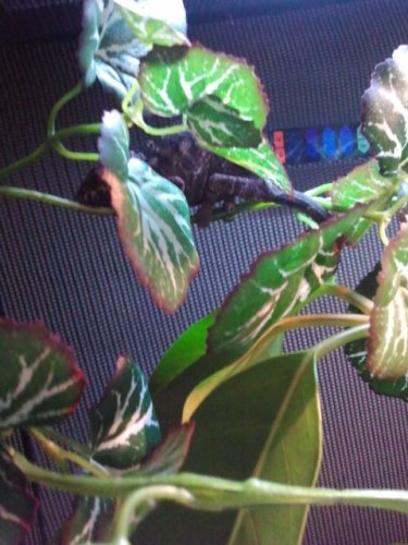 2011-06-19 12.36.23.jpg