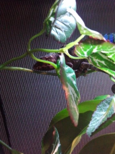 2011-06-19 12.35.54.jpg