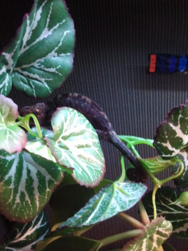 2011-06-19 12.35.40.jpg