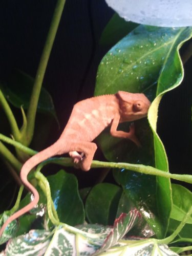 2011-06-15 17.51.31.jpg