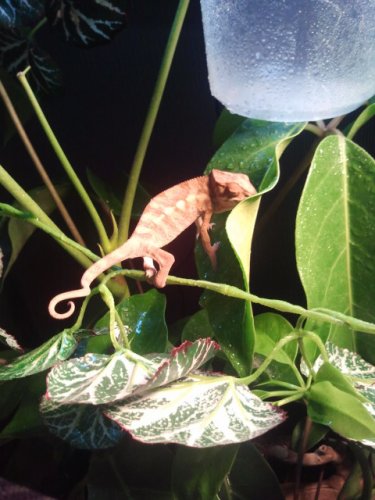 2011-06-15 17.51.11.jpg