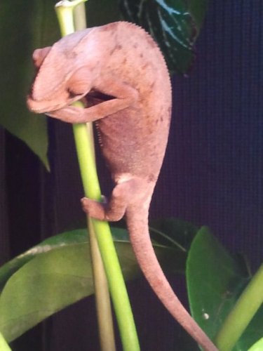 2011-06-15 14.27.36.jpg