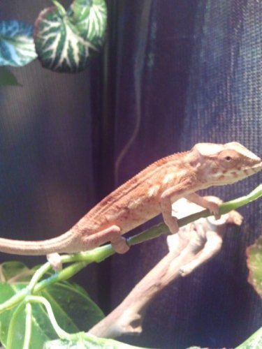 2011-06-15 12.11.53.jpg