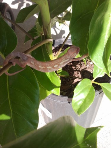 2011-06-14 17.57.53.jpg