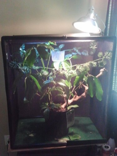 2011-06-19 15.41.26.jpg