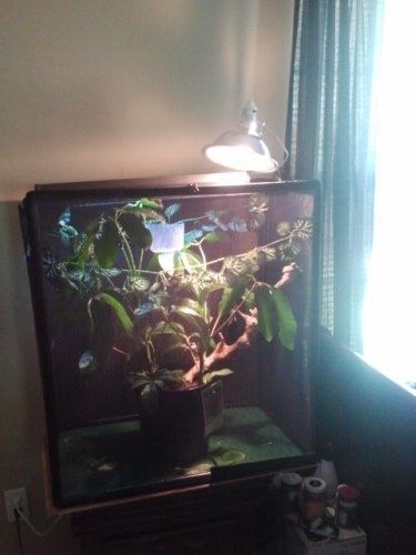 2011-06-19 15.41.41.jpg