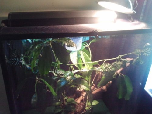 2011-06-19 15.42.06.jpg