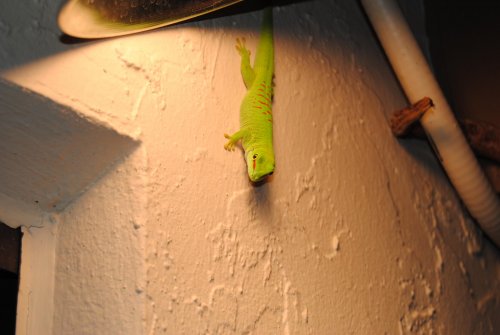 DSC_0114.jpg