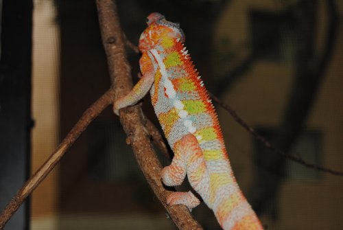DSC_0269.jpg