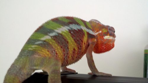 2011-06-20_15-38-19_111.jpg