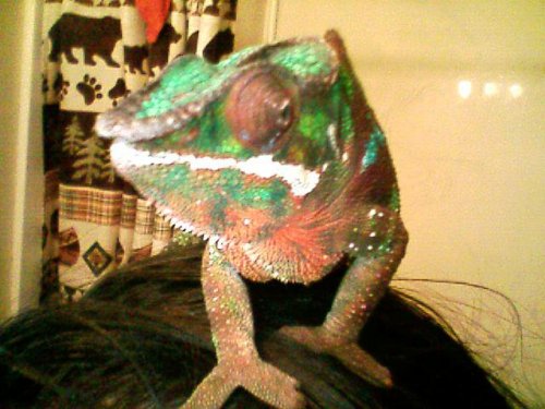 216212_10150208771714282_606134281_8344036_496529_n (1).jpg