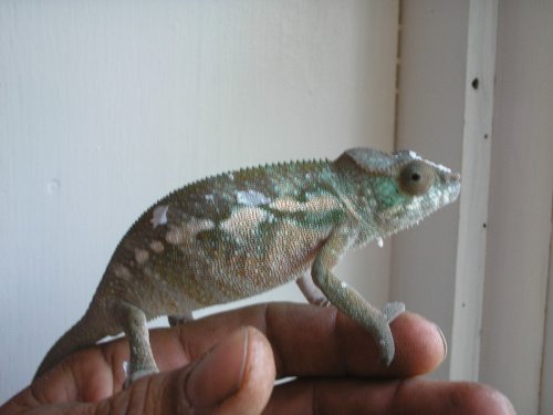 25.JPG