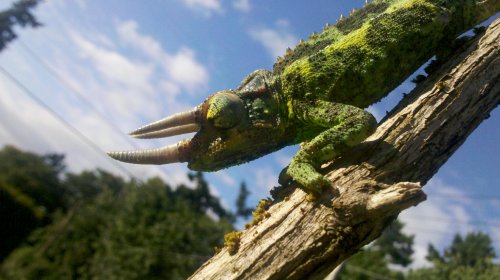 2011-06-22_19-18-41_735.jpg