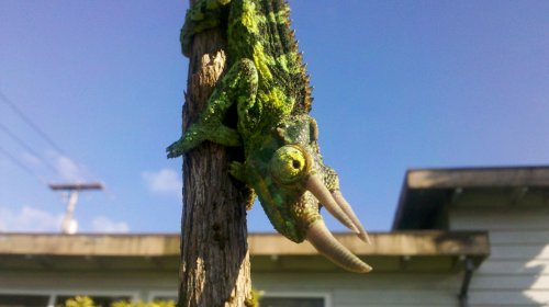 2011-06-22_19-19-54_312.jpg