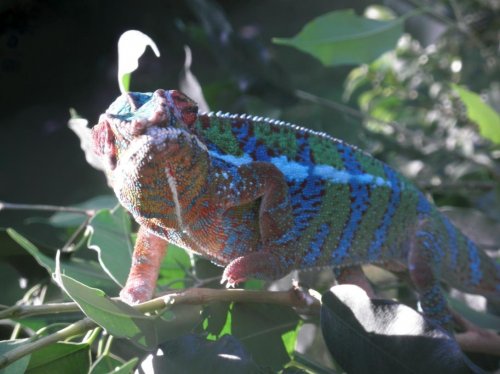 Archimedes outside 6-18-11 028 small.jpg
