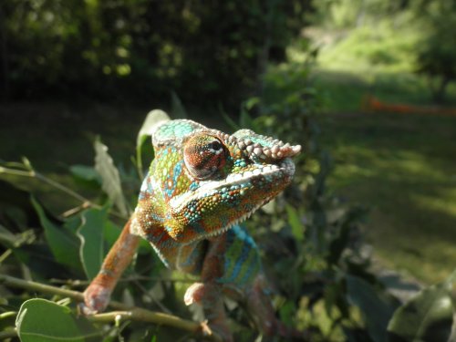 Archimedes outside 6-18-11 030.jpg