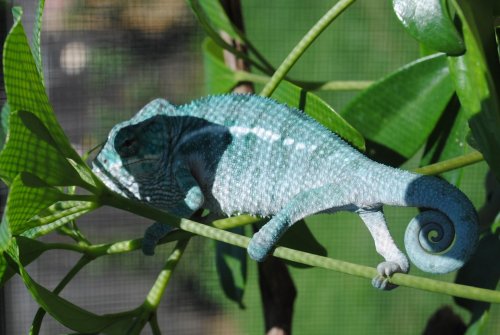 DSC_0169.jpg