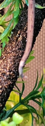 20201212_133116.jpg