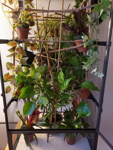 20201212_160146.jpg