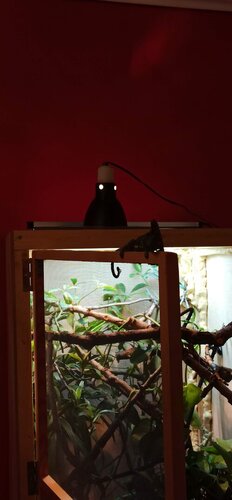 IMG_20201220_172742.jpg