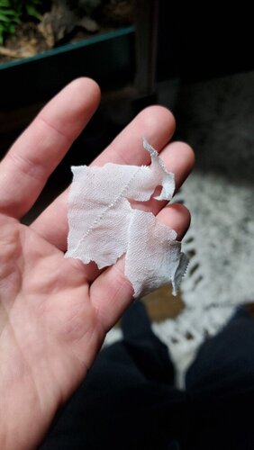IMG-20201221-WA0049.jpeg