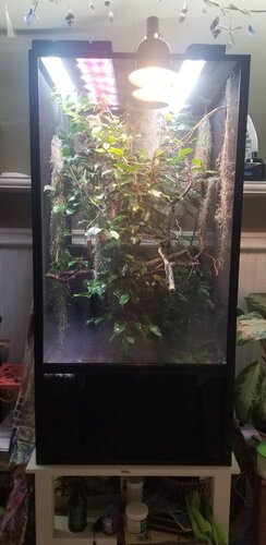 Hyde's Enclosure.jpg