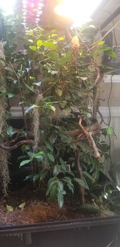 Closeup Enclosure.jpg