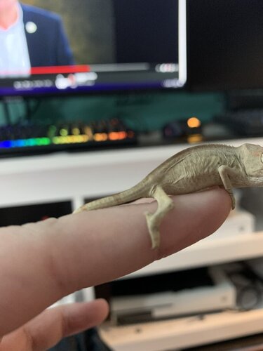GetAttachmentThumbnail.jpg