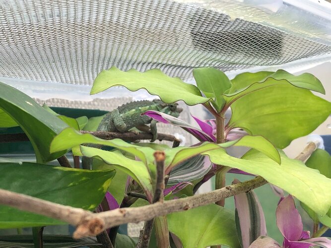 Help us help you with a descriptive thread title