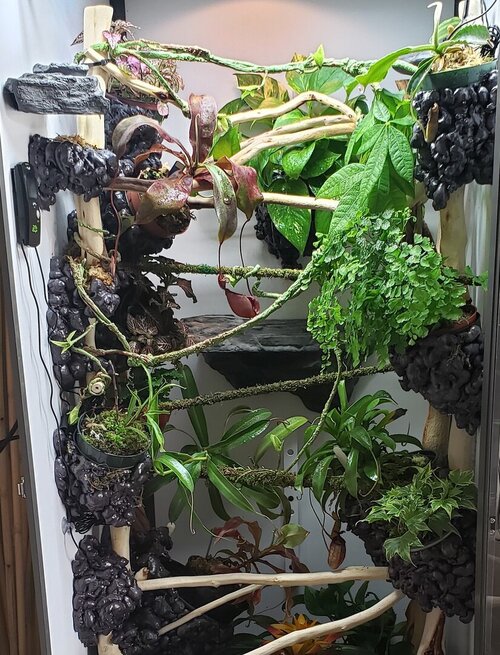 Enclosure cropx2.jpg