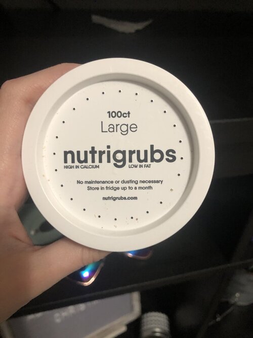 image.jpg
