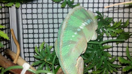 2011-06-29_20-40-32_558.jpg