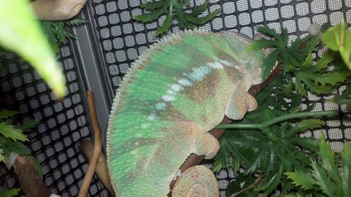 2011-06-29_20-41-00_152.jpg