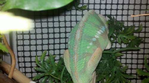 2011-06-29_20-40-08_294.jpg