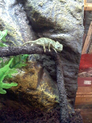 20110630174400.jpg