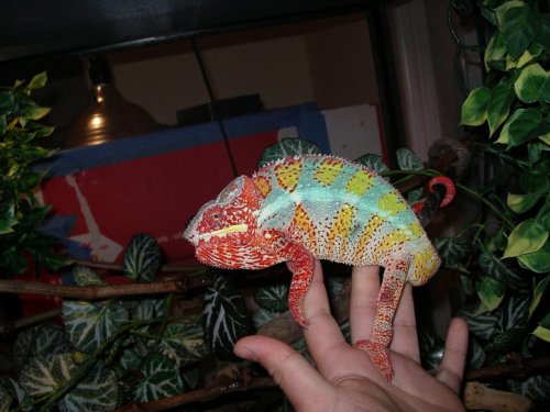 Pictures 2010 011.jpg