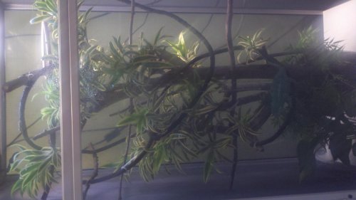 2011-07-04_17-04-51_661.jpg