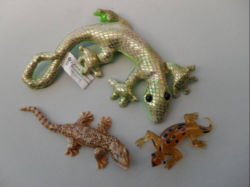 Geckos.jpg