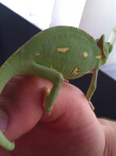 IMG_20110705_114904.jpg
