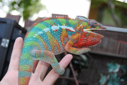 DSC_0402.jpg