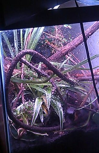 IMAG0217.jpg