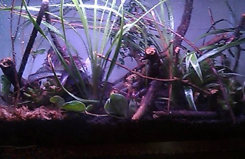 IMAG0209.jpg